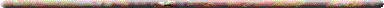 WB01012_.GIF (1401 bytes)